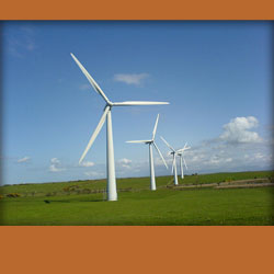 four white wind turbines from left to right, standing in a grassy field
